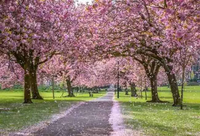 Apartment 2-bed With Balcony & Parking Harrogate